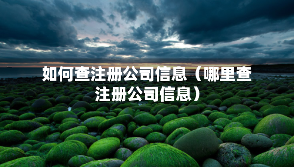 如何查注册公司信息（哪里查注册公司信息）