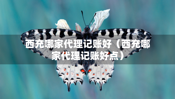 西充哪家代理记账好（西充哪家代理记账好点）