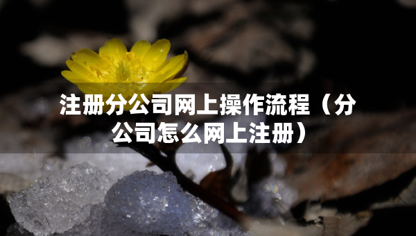 注册分公司网上操作流程（分公司怎么网上注册）