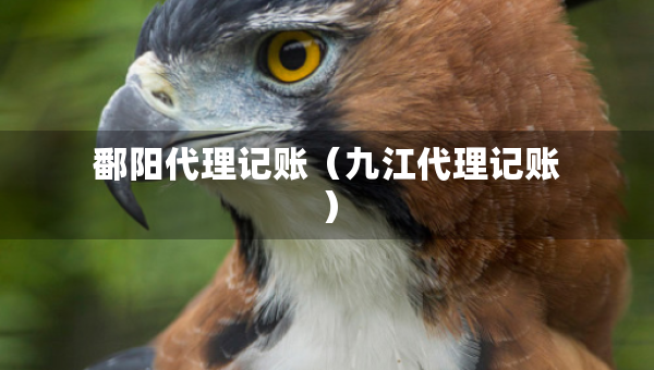 鄱阳代理记账（九江代理记账）