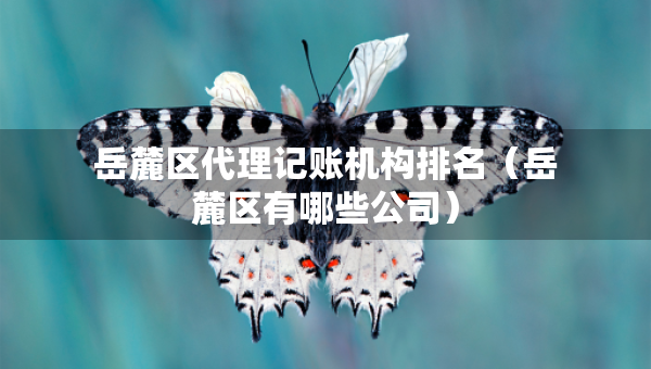 岳麓区代理记账机构排名（岳麓区有哪些公司）