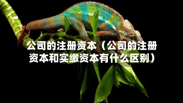 公司的注册资本（公司的注册资本和实缴资本有什么区别）