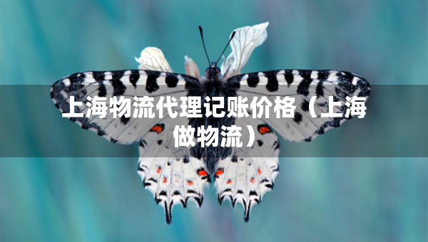 上海物流代理记账价格（上海做物流）