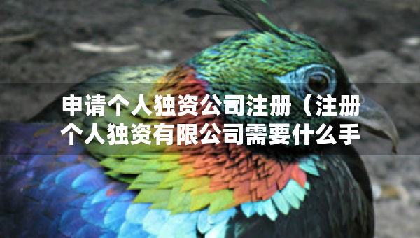申请个人独资公司注册（注册个人独资有限公司需要什么手续）