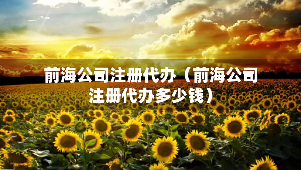 前海公司注册代办（前海公司注册代办多少钱）