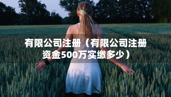 有限公司注册（有限公司注册资金500万实缴多少）