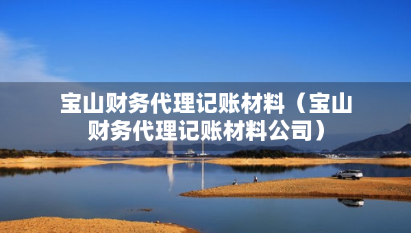 宝山财务代理记账材料（宝山财务代理记账材料公司）