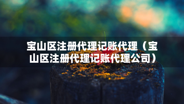 宝山区注册代理记账代理（宝山区注册代理记账代理公司）