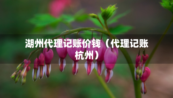 湖州代理记账价钱（代理记账杭州）