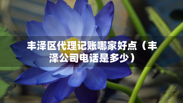 丰泽区代理记账哪家好点（丰泽公司电话是多少）
