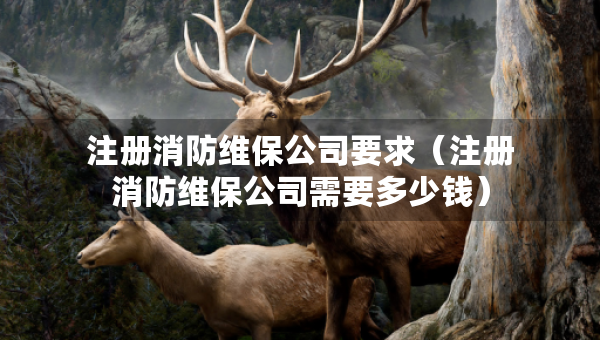 注册消防维保公司要求（注册消防维保公司需要多少钱）
