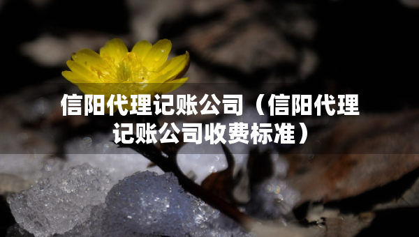 信阳代理记账公司（信阳代理记账公司收费标准）