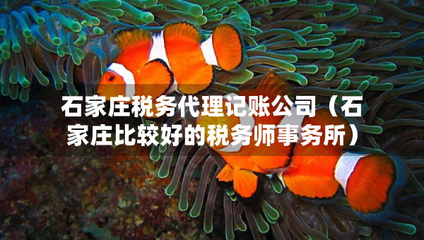 石家庄税务代理记账公司（石家庄比较好的税务师事务所）