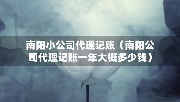 南阳小公司代理记账（南阳公司代理记账一年大概多少钱）