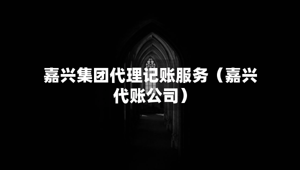 嘉兴集团代理记账服务（嘉兴代账公司）