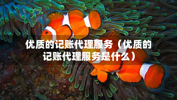 优质的记账代理服务（优质的记账代理服务是什么）