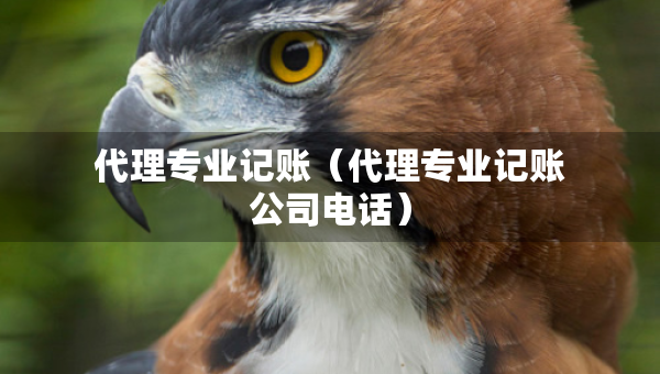 代理专业记账（代理专业记账公司电话）