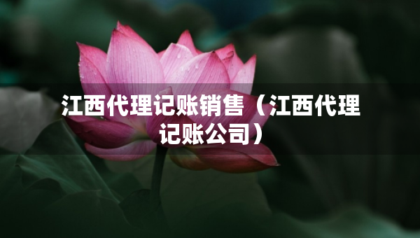 江西代理记账销售（江西代理记账公司）