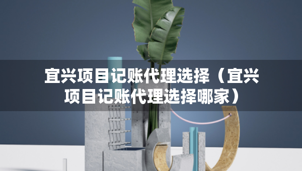 宜兴项目记账代理选择（宜兴项目记账代理选择哪家）