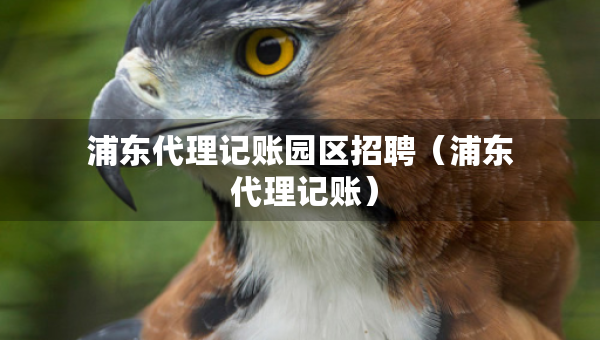浦东代理记账园区招聘（浦东 代理记账）