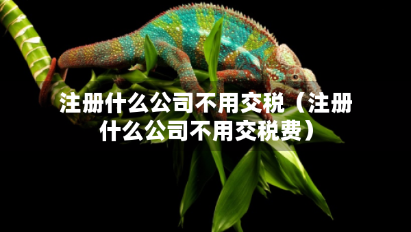 注册什么公司不用交税（注册什么公司不用交税费）