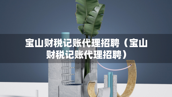 宝山财税记账代理招聘（宝山财税记账代理招聘）