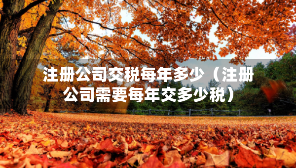 注册公司交税每年多少（注册公司需要每年交多少税）