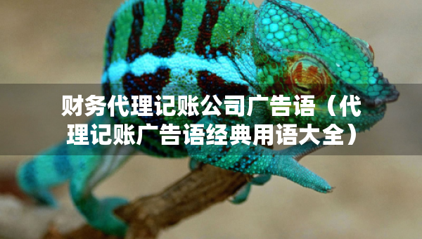 财务代理记账公司广告语（代理记账广告语经典用语大全）