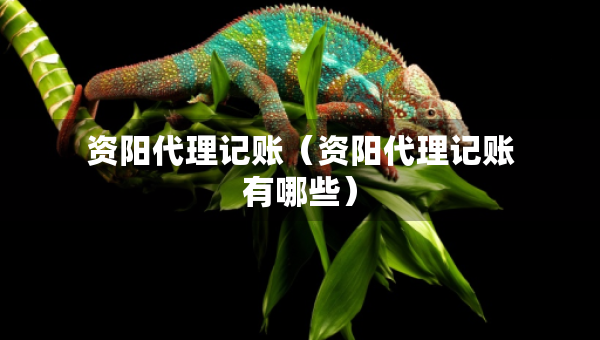 资阳代理记账（资阳代理记账有哪些）