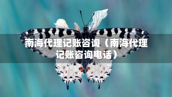 南海代理记账咨询（南海代理记账咨询电话）