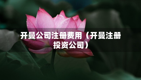 开曼公司注册费用（开曼注册投资公司）
