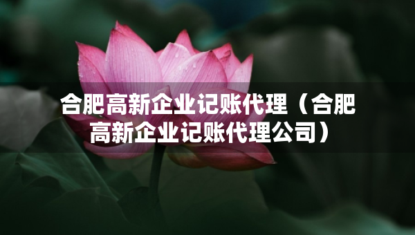 合肥高新企业记账代理（合肥高新企业记账代理公司）