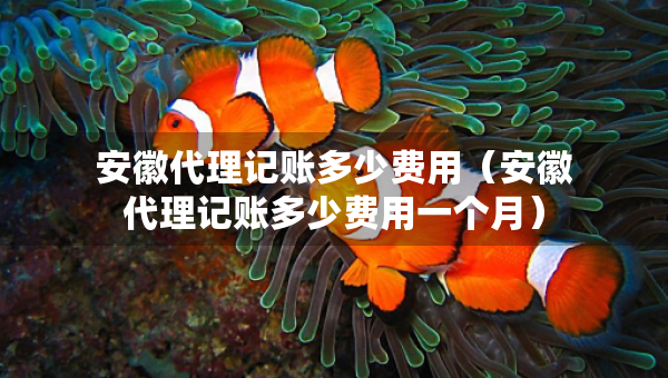 安徽代理记账多少费用（安徽代理记账多少费用一个月）