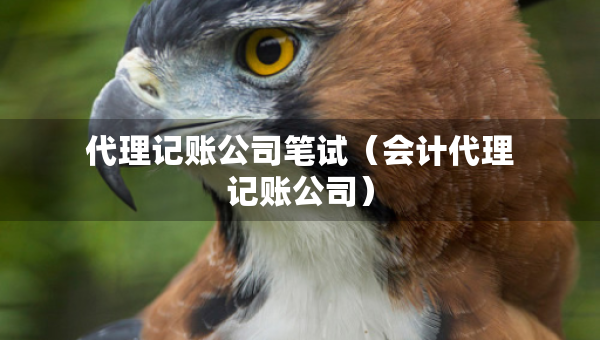 代理记账公司笔试（会计代理记账公司）