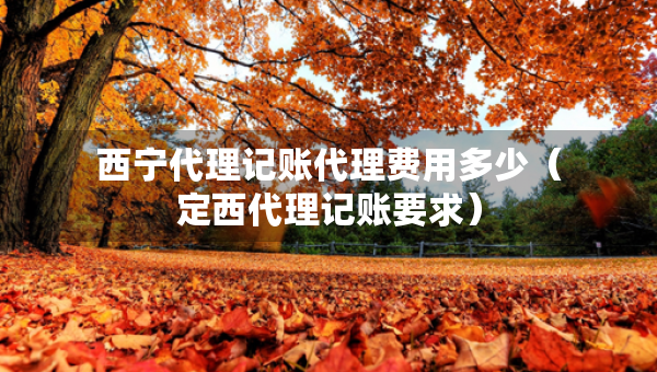 西宁代理记账代理费用多少（定西代理记账要求）
