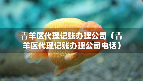 青羊区代理记账办理公司（青羊区代理记账办理公司电话）