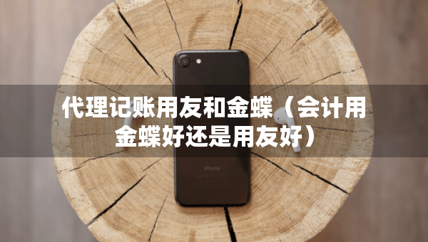 代理记账用友和金蝶（会计用金蝶好还是用友好）