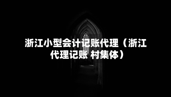 浙江小型会计记账代理（浙江 代理记账 村集体）