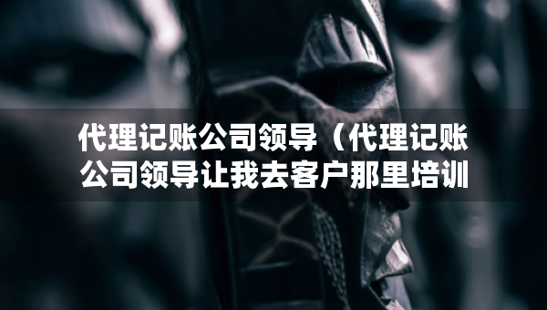 代理记账公司领导（代理记账公司领导让我去客户那里培训）