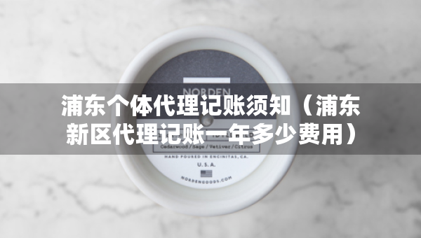 浦东个体代理记账须知（浦东新区代理记账一年多少费用）