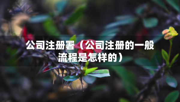 公司注册署（公司注册的一般流程是怎样的）