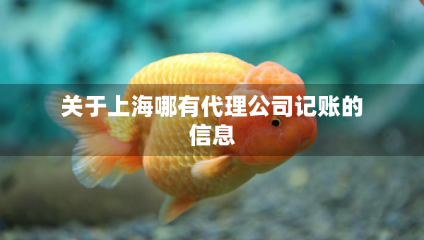 关于上海哪有代理公司记账的信息