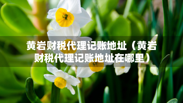 黄岩财税代理记账地址（黄岩财税代理记账地址在哪里）