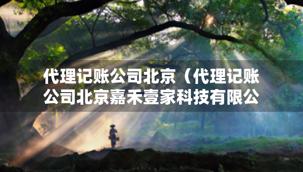 代理记账公司北京（代理记账公司北京嘉禾壹家科技有限公司）