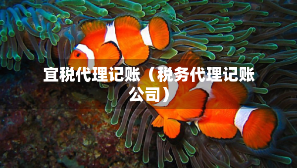 宜税代理记账（税务代理记账公司）