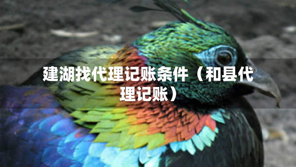 建湖找代理记账条件（和县代理记账）