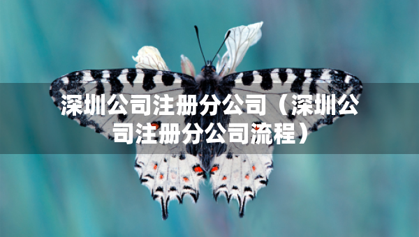 深圳公司注册分公司（深圳公司注册分公司流程）