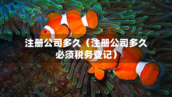 注册公司多久（注册公司多久必须税务登记）