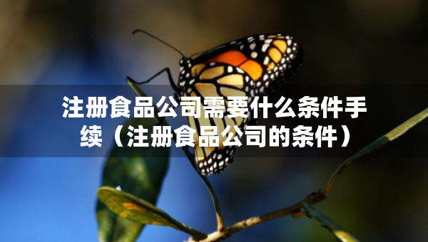 注册食品公司需要什么条件手续（注册食品公司的条件）