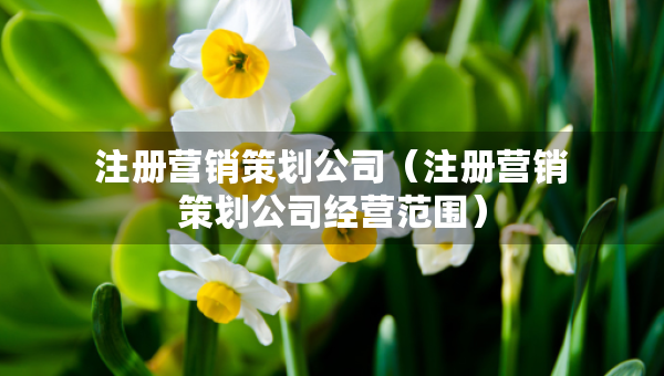 注册营销策划公司（注册营销策划公司经营范围）